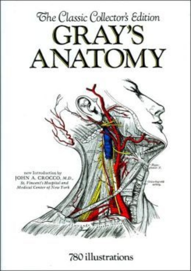 Gray’s Anatomy PDF