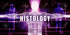 Medical histology books
