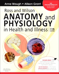 Photo of Ross and Wilson Anatomy and Physiology 11th Edition Pdf Download