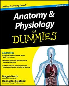 anatomy and physiology for dummies pdf