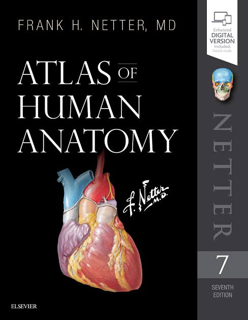 Photo of Netter Atlas of Human Anatomy PDF