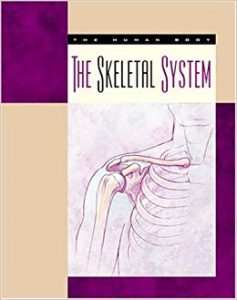 The Skeletal System Susan Heinrichs Gray