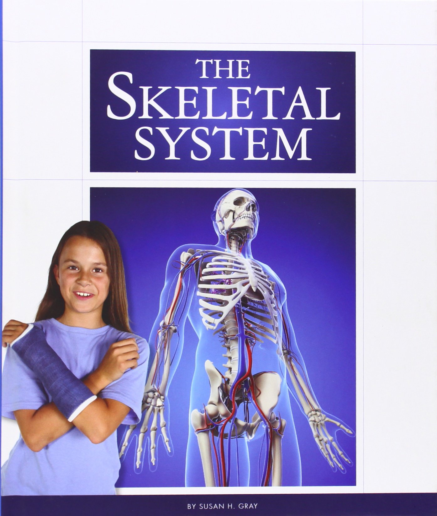 The Skeletal System Susan Heinrichs Gray