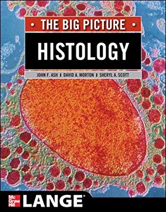 Photo of Histology The Big Picture PDF