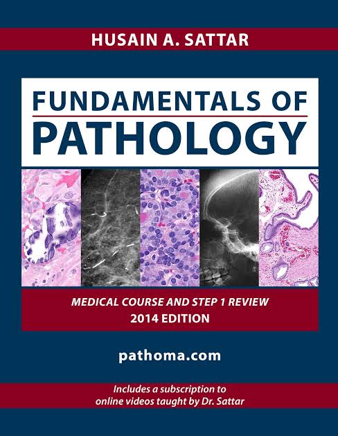 Photo of  Fundamentals of Pathology PDF Download Free